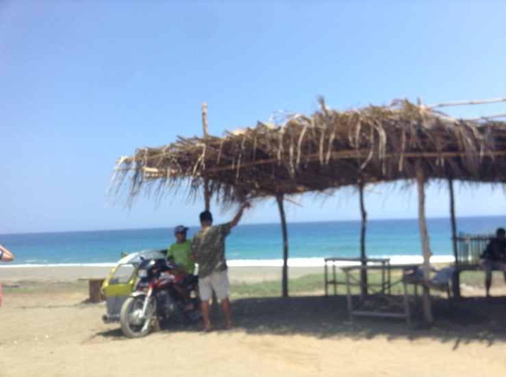 The only photo I was able to get (using my friend's phone) while I was in the car, and while everyone else was frolicking by the windmills.