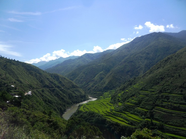 Kids grow better outside.