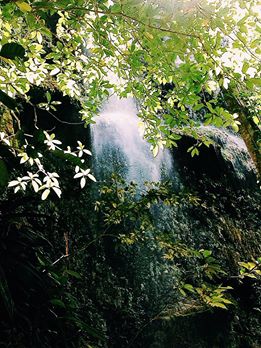 10418433_10203431084351349_1031579106298495005_n