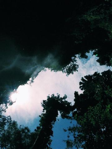 10518707_10203431175553629_6313809022757677955_n