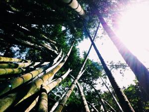 10540835_10203431176113643_396965832516378111_n