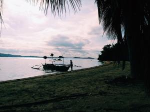 10616091_10203764854935405_1809062179835372700_n