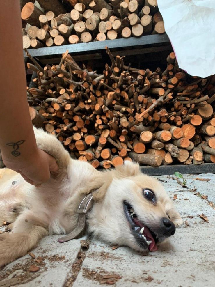 photo_2020-06-29_22-41-14