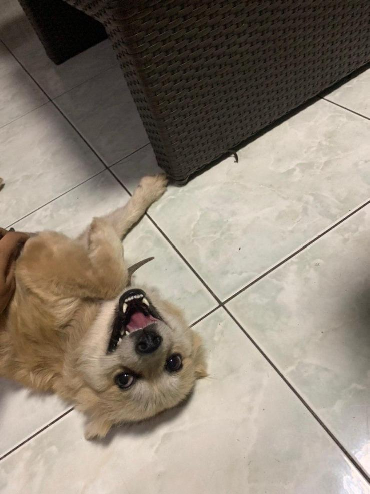 photo_2020-06-29_22-41-36